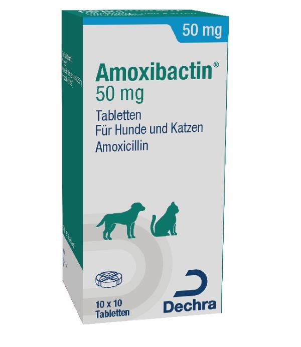 Amoxibactin 50 mg
