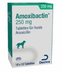 Amoxibactin 250 mg