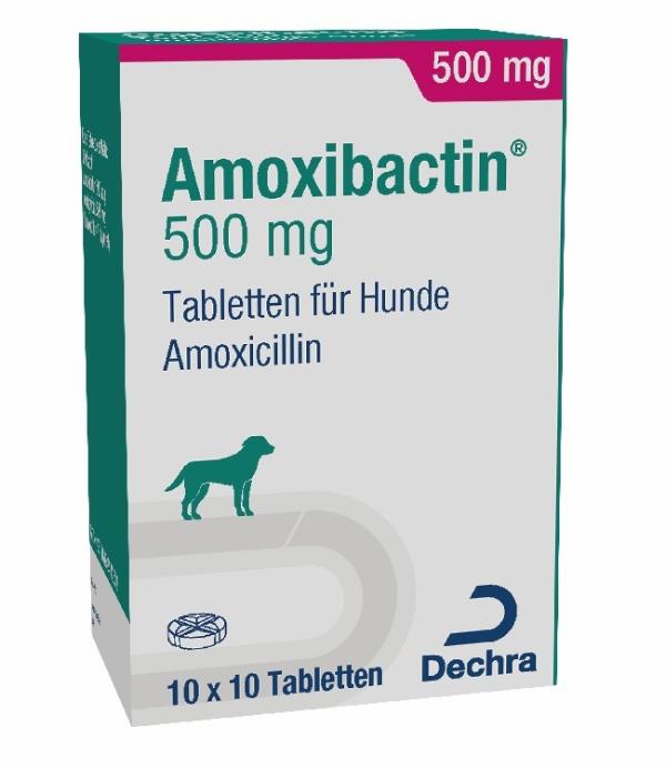 Amoxibactin 500 mg