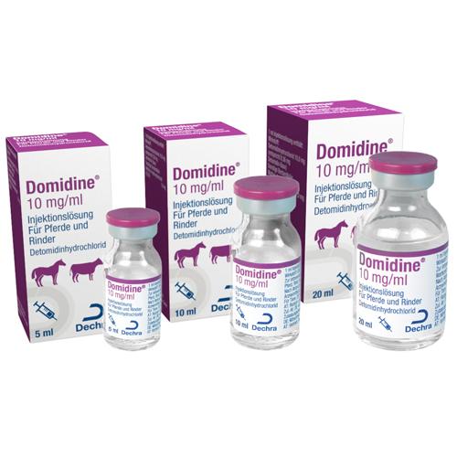 Domidine 10 mg/ml