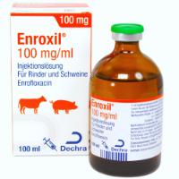 Enroxil 100 mg/ml