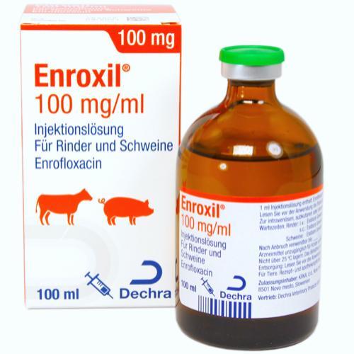 Enroxil 100 mg/ml