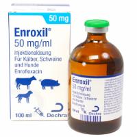 Enroxil 50 mg/ml