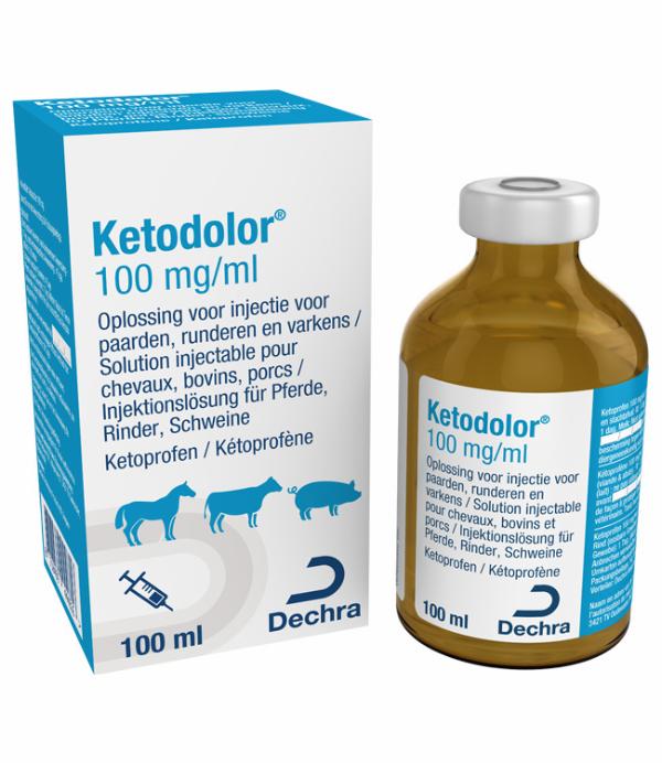 Ketodolor 100 mg/ml