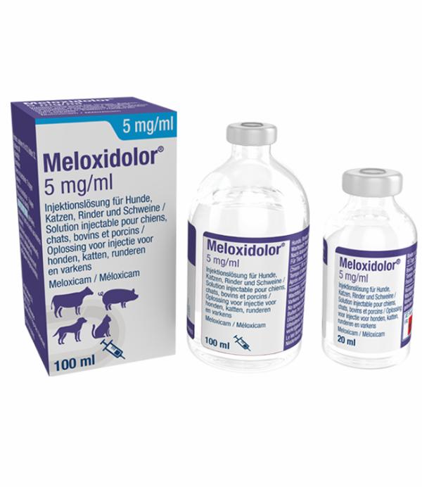 Meloxidolor 5 mg/ml
