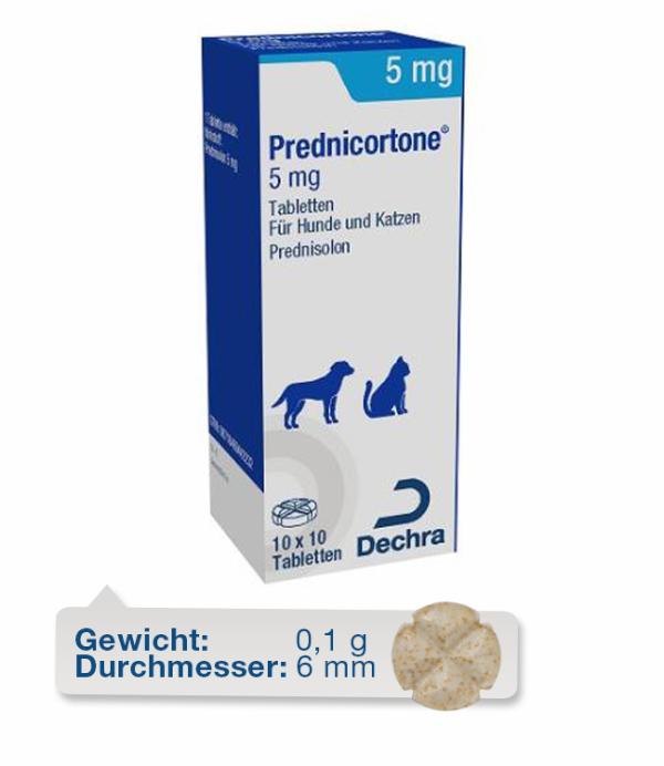 Prednisolon 5mg Für Hunde Anwendungsgebiete Captions Todays