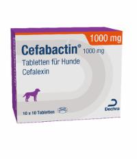 Cefabactin 1000 mg