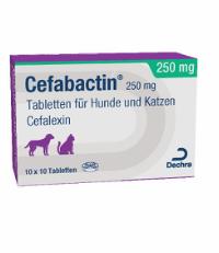Cefabactin 250 mg