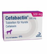 Cefabactin 500 mg