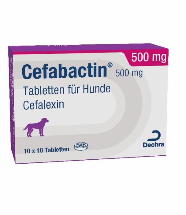 Cefabactin 500 mg