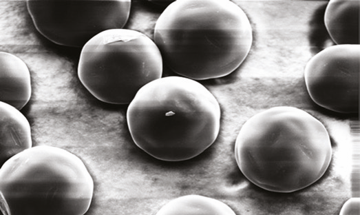 Bild: Elektronenmikrospkopisches Bild von Renaltec®